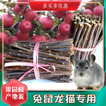 Hot Selling Pet Grindroe Apple Branches Snack Bite Wood Branches Rabbit Dragon Cat Dutch Pig Petty supplies 250g