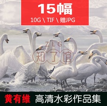  Huang Youwei watercolor high-definition picture electronic version collection ancient painting copying teaching INKJET decorative painting core material data