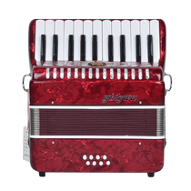 Accordion 120 Beth beginner teaching 8 60 96 bass childrens small three four row reeds