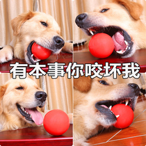 Pet toy ball dog solid ball resistant to bite molars Teddy Golden toys medium and large dog toys dog training supplies