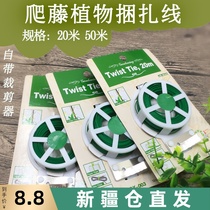 Xinjiang Cang Straight Hair Climbing Rattan Flower Garden Line with Cutter Cover Plastic Tie Wire Tie Wire Tie 50 m