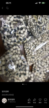 猛犸象牙108颗手串-猛犸象牙108颗手串促销价格、猛犸象牙108颗手串品牌