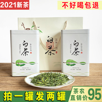 Authentic Anji white tea 2021 New tea Before the rain Rare white tea gift box Alpine Green Tea Spring Tea tea 250g