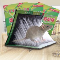 5 pieces of strong sticky mouse board mouse paste mousetrap mouse extermination mouse nemesis catch catch sticky mouse glue medicine household