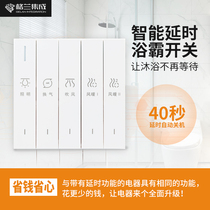 gelian bath bully switch five open five all-in-one warm air blower special bathroom toilet intelligent time-lapse switch panel