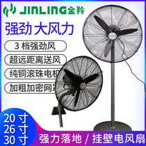 Jinling industrial fan Powerful floor fan High-power wall fan Metal electric fan Factory commercial barbecue horn fan