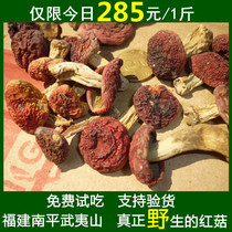 Red mushroom Fujian wild mushroom is red mushroom 500g new natural blue background authentic Wuyishan red mushroom dry goods