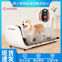Xiaomi YESOUL wild animal pet smart home silent treadmill animal training multifunctional artifact