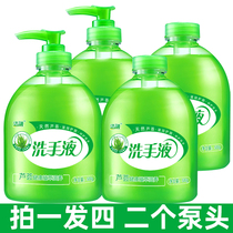 Aloe Vera sterilization hand sanitizer 500g foam rich household batch high-grade hotel disinfection press bottle