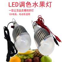 Fruit light Adjustable color low voltage 12V led fresh light 48V60V battery car color change fruit booth lighting bulb