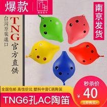 Nanjing shipping Taiwan TNG Carina 6 holes beginner six holes ac plastic alto C plastic Carina