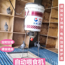 Automatic feeding of chickens and feeding machines for chickens Ducks God-Ware Fully Automatic Feeding Machine Pigeon Feed Timing Baiting Machine