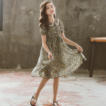  South Korea SZ Summer 2021 Girls Dress Chiffon medium and large childrens doll collar beach skirt Childrens floral fairy skirt