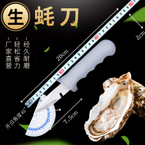 Sea oysters open shells theorists open oysters open clams oysters shell kitchen open shell tools to catch sea prying shell small tools