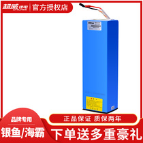 Chaowei Lithium Battery 48V10AH Simple Bag Silver Fish Haiba Folding Car Battery Bond Emma Yadi