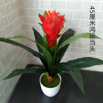 Simulation plant Hongyun when head home living room storefront approx. Atmospheric decoration pendulum potted plant fake flowers and auspicious flowers