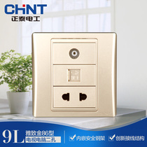 Chint 120 Type 86 type 9L safety steel frame wall switch socket Golden small two-hole TV computer