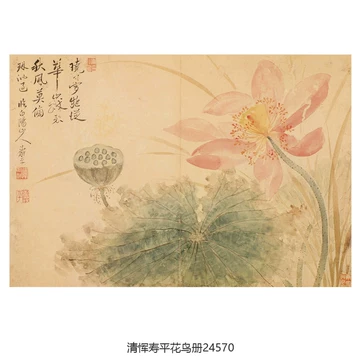 恽寿平 （款） 花鳥図 立軸 共箱 模写 古画 中国 絵画 【公式通販】