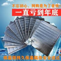 Heat insulation grade takeaway fresh bag 12 inch cake cold bag fresh can be customized logo fresh bag high grade