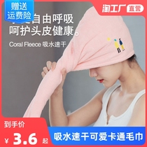 Dry hair hat female super absorbent quick-drying bag head scarf wipe hair towel cute cartoon new thick shower cap