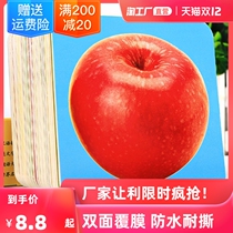 Baby baby picture card childrens car logo animal early education cognitive card educational enlightenment toy set