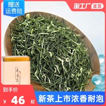 Green tea Maojian 2021 New Tea Tea Alpine Sprout Luchen Tea Green Tea 250g Bulk Canned