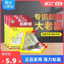 Mouse stickers super strong sticky mouse board catch sticky big mouse sticky mouse glue home repellent mouse trap artifact a nest end