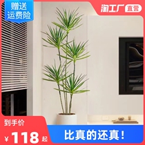 Simulation green plant agave fake green plant dragon blood tree high-end light luxury living room clothing store plant decoration floor ornaments