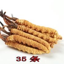 Tibet Naqu Cordyceps sinensis 3 Roots of authentic Cordyceps unbroken grass