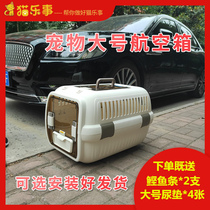 Cat Leshi aviation box pet box large plane consignment special bag space capsule bird cat cage portable out