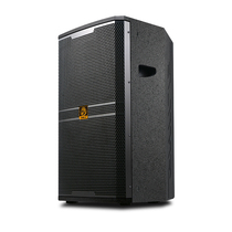 Lion Music BM-12 Professional Stage Conference Audio KTV Private Room Outdoor Activities Performance 12-inch Speaker