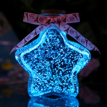 Glass empty bottles with five-pointed stars wish 520 gift boxes fluorescent luminous creative transparent boxes