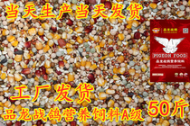 Jiangsu Zhejiang Shanghai Anhui pigeon A- level nutritional feed with corn pigeons pigeons high-quality pigeons 50 Jin