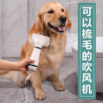 Pet hair dryer dog blowing artifact pull hair comb one quick dry pet Teddy bath cat Special