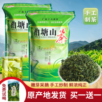 Buy 1 send 1 Baitang Camellia Huizhou specialty handmade Hakka fried green bulk Alpine green tea 500g