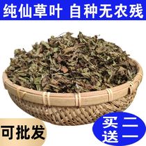 Xiancao dried roasted grass raw material whole leaf fairy grass dry roasted fairy grass fresh grass dry pure leaves whole leaf black cold herb