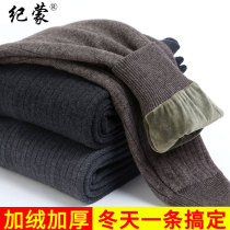 Autumn pants mens warm pants plus velvet padded winter cotton pants mens singles pants wool pants camel pants men