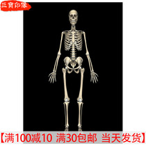 The knot does not have a net view of the white bones and wants pictures of the white bones Zen view drawings Buddhist meditation Law to quit the Evil Withdrawal of the Evil Spirit