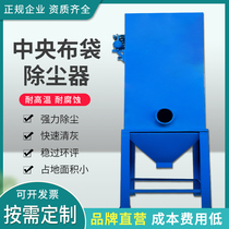 Pulse stand-alone boiler central bag filter cartridge bag woodworking dust collection industrial dust removal environmental protection equipment