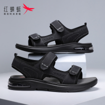 Red Dragonfly Teenagers Sandals Sandals Mens Fashion Outside Wearing Wear Resistant Non-slip Air Cushion Summer Sports Casual Beach Sandals