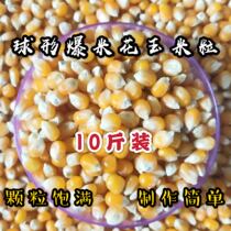 Household spherical popcorn corn kernels homemade special bract flower raw materials 10 pounds