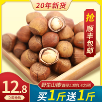 Wild hazelnut nuts Northeast specialty Tieling original cooked hazelnuts fresh raw nuts 2020 new goods 2 pounds