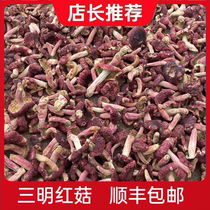 Fujian Sanming Wild Red Mushrooms Red Mushroom Dry Cargo Fungus Zhenghong Pregnant Womens Moon Tonic