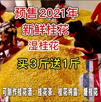 Pre-sale 2021 fresh fresh sweet-scented osmanthus edible wine Golden Osmanthus eight Laurel scented osmanthus dew wet osmanthus