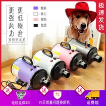 Pet hair dryer High-power hair dryer Teddy golden Retriever hair dryer Big dog hair dryer Medium and large dog water blower