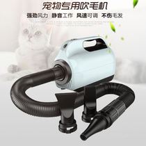 Household pet water blower Dog Large dog drying box Cat hair dryer High power dog bath hair blowing artifact