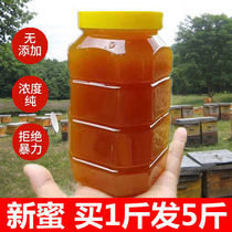 (Buy 1 hair 5) Farmers produce natural nectar wild crystalline soil honey date nectar nectar honey