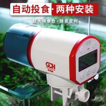 Turtle feeder automatic feeding box turtle grain tortoise tank fish tank turtle tank turtle tank timing feed feed intelligent fish feeder