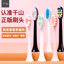 Qianshan replacement brush head q5 Mens Q8 diamond X1 skirt electric toothbrush head original 4 replacement heads