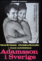8506 Swedish New Wave Masterpiece:Forbidden Night(D9)